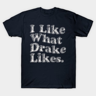 I Like What Drakes Likes IAAB T-Shirt